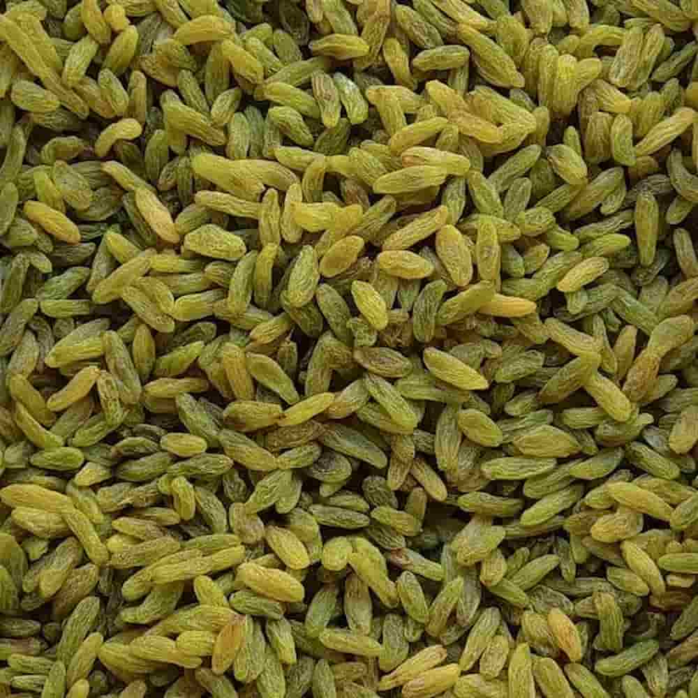 کشمش سبز قلمی انتخابی ممتاز برای بازار خشکبار